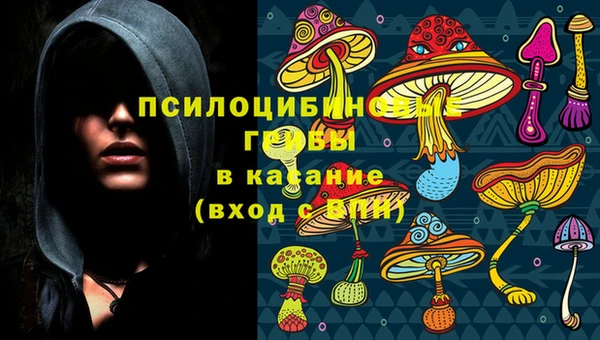 меф Новодвинск
