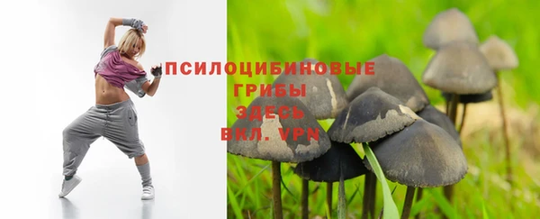 меф Новодвинск